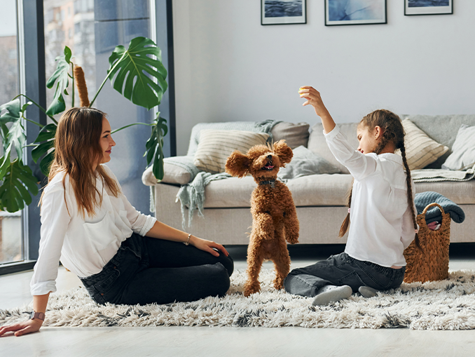 Stavební povolení? Nechte to na nás...